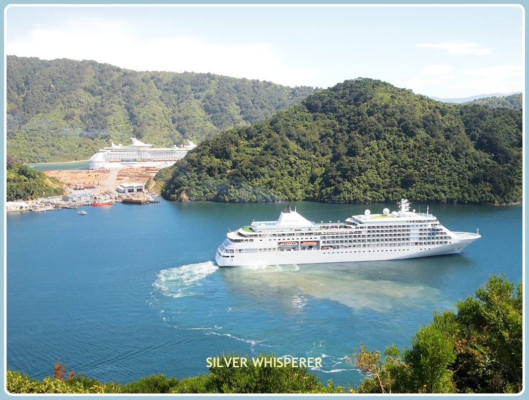 Your Local Chauffeur: Shore Excursion: Highlights of Marlborough Wine Region from Picton — Marlborough - Photo 2